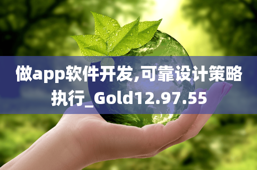 做app软件开发,可靠设计策略执行_Gold12.97.55