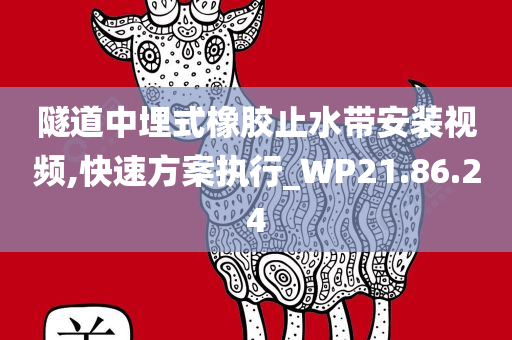 隧道中埋式橡胶止水带安装视频,快速方案执行_WP21.86.24