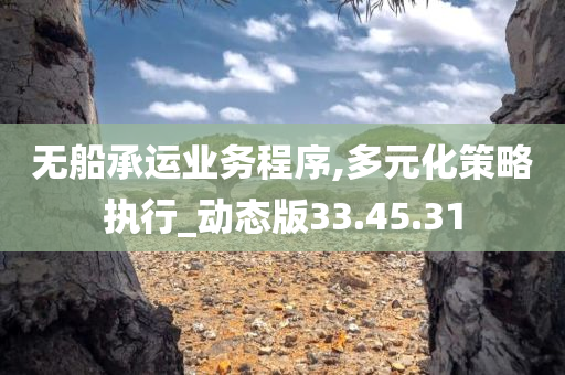 无船承运业务程序,多元化策略执行_动态版33.45.31