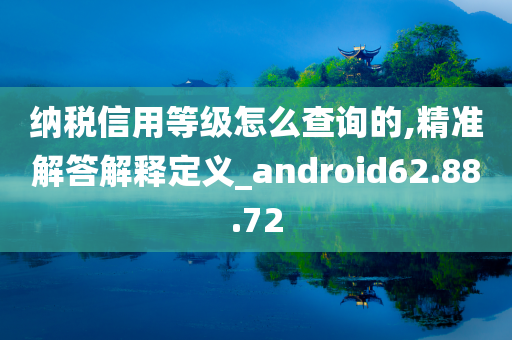 纳税信用等级怎么查询的,精准解答解释定义_android62.88.72