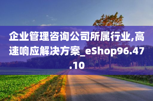 企业管理咨询公司所属行业,高速响应解决方案_eShop96.47.10