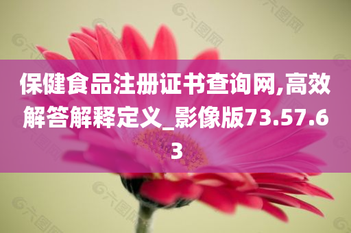 保健食品注册证书查询网,高效解答解释定义_影像版73.57.63