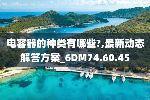 电容器的种类有哪些?,最新动态解答方案_6DM74.60.45