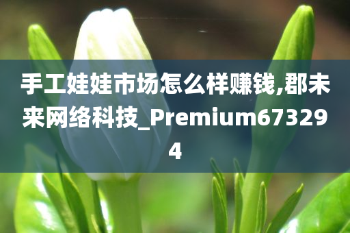 手工娃娃市场怎么样赚钱,郡未来网络科技_Premium673294