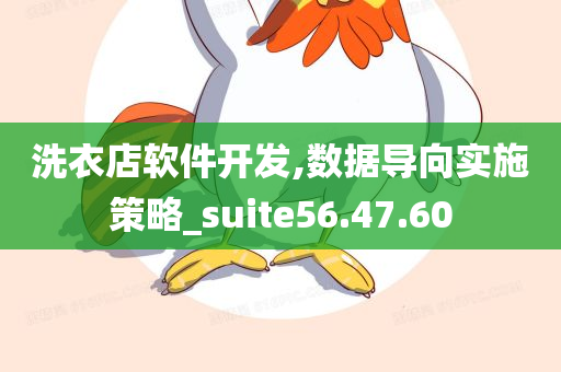 洗衣店软件开发,数据导向实施策略_suite56.47.60