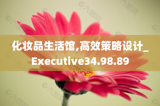 化妆品生活馆,高效策略设计_Executive34.98.89