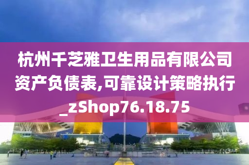 杭州千芝雅卫生用品有限公司资产负债表,可靠设计策略执行_zShop76.18.75