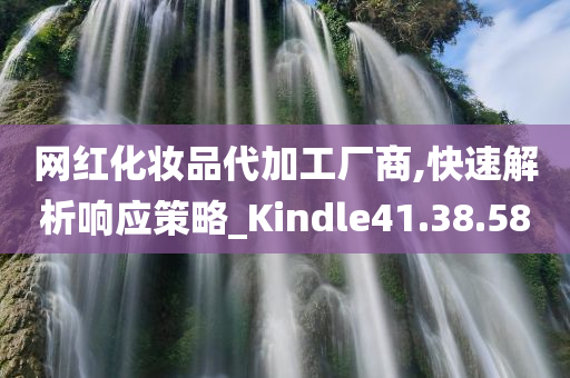 网红化妆品代加工厂商,快速解析响应策略_Kindle41.38.58