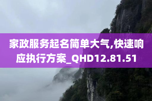 家政服务起名简单大气,快速响应执行方案_QHD12.81.51