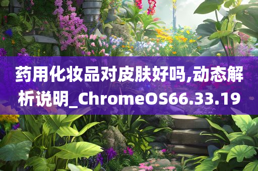 药用化妆品对皮肤好吗,动态解析说明_ChromeOS66.33.19