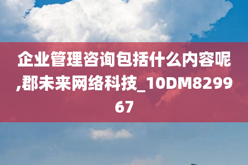 企业管理咨询包括什么内容呢,郡未来网络科技_10DM829967