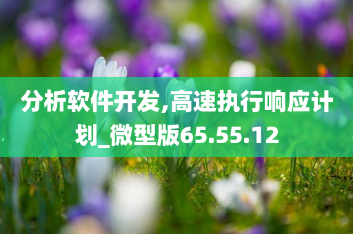 分析软件开发,高速执行响应计划_微型版65.55.12