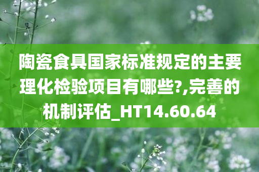 陶瓷食具国家标准规定的主要理化检验项目有哪些?,完善的机制评估_HT14.60.64