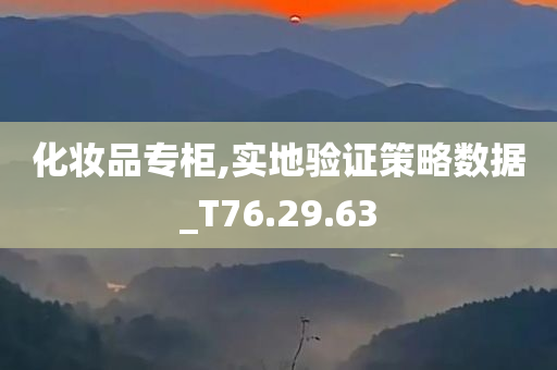 化妆品专柜,实地验证策略数据_T76.29.63