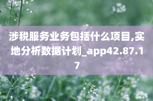 涉税服务业务包括什么项目,实地分析数据计划_app42.87.17