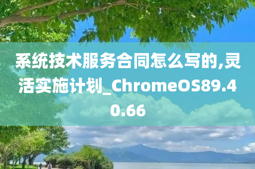 系统技术服务合同怎么写的,灵活实施计划_ChromeOS89.40.66