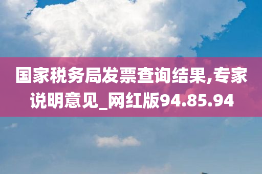 国家税务局发票查询结果,专家说明意见_网红版94.85.94