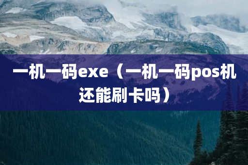 一机一码exe（一机一码pos机还能刷卡吗）