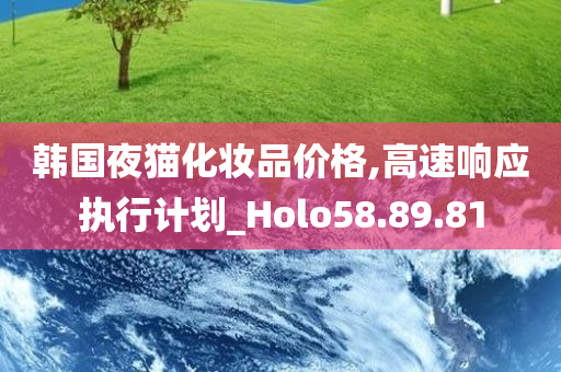 韩国夜猫化妆品价格,高速响应执行计划_Holo58.89.81