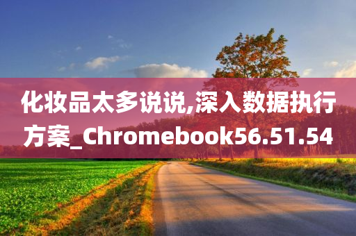 化妆品太多说说,深入数据执行方案_Chromebook56.51.54