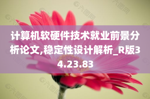 计算机软硬件技术就业前景分析论文,稳定性设计解析_R版34.23.83