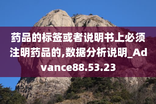 药品的标签或者说明书上必须注明药品的,数据分析说明_Advance88.53.23