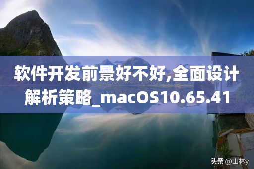 软件开发前景好不好,全面设计解析策略_macOS10.65.41