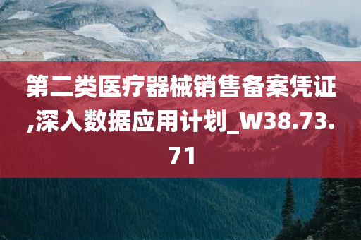 第二类医疗器械销售备案凭证,深入数据应用计划_W38.73.71