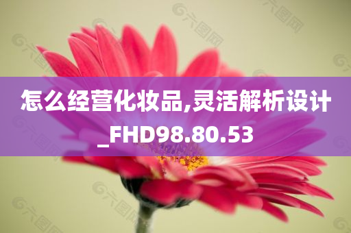 怎么经营化妆品,灵活解析设计_FHD98.80.53