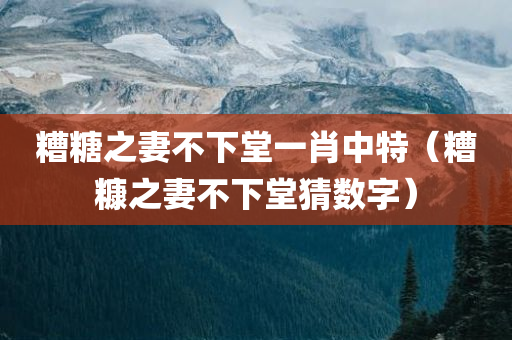 糟糖之妻不下堂一肖中特（糟糠之妻不下堂猜数字）