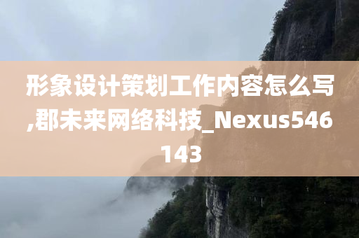 形象设计策划工作内容怎么写,郡未来网络科技_Nexus546143