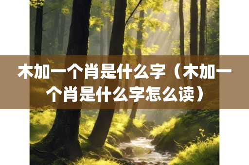 木加一个肖是什么字（木加一个肖是什么字怎么读）