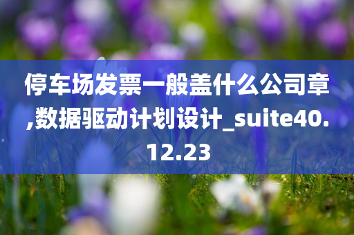 停车场发票一般盖什么公司章,数据驱动计划设计_suite40.12.23