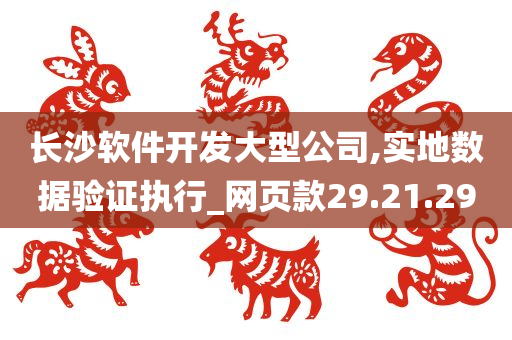 长沙软件开发大型公司,实地数据验证执行_网页款29.21.29