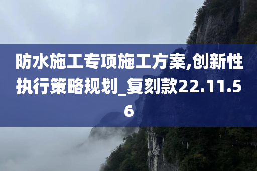 防水施工专项施工方案,创新性执行策略规划_复刻款22.11.56