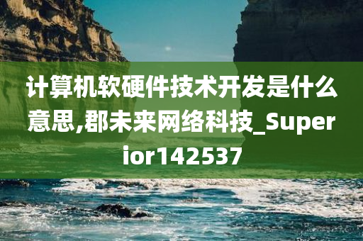 计算机软硬件技术开发是什么意思,郡未来网络科技_Superior142537