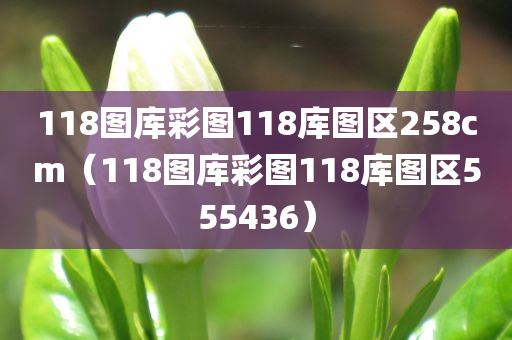 118图库彩图118库图区258cm（118图库彩图118库图区555436）