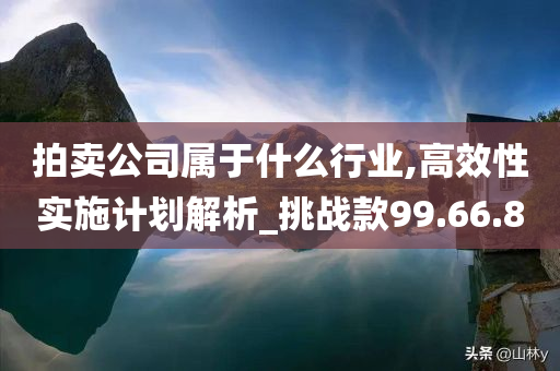 拍卖公司属于什么行业,高效性实施计划解析_挑战款99.66.80