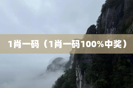 1肖一码（1肖一码100%中奖）