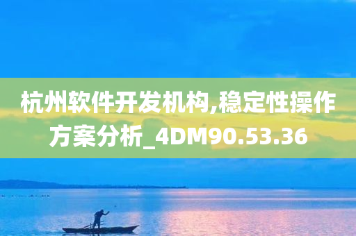 杭州软件开发机构,稳定性操作方案分析_4DM90.53.36