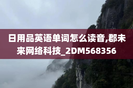 日用品英语单词怎么读音,郡未来网络科技_2DM568356