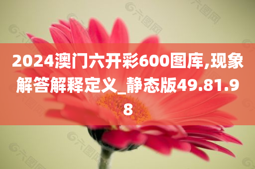 2024澳门六开彩600图库,现象解答解释定义_静态版49.81.98