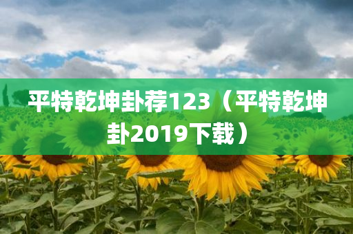 平特乾坤卦荐123（平特乾坤卦2019下载）