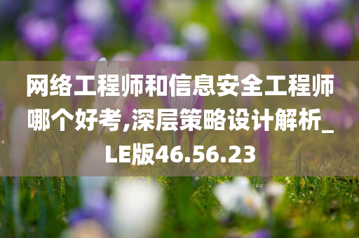 网络工程师和信息安全工程师哪个好考,深层策略设计解析_LE版46.56.23