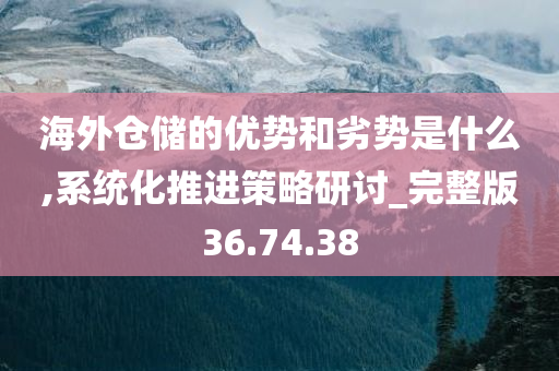 海外仓储的优势和劣势是什么,系统化推进策略研讨_完整版36.74.38