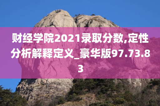 财经学院2021录取分数,定性分析解释定义_豪华版97.73.83