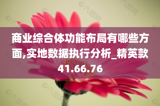 商业综合体功能布局有哪些方面,实地数据执行分析_精英款41.66.76