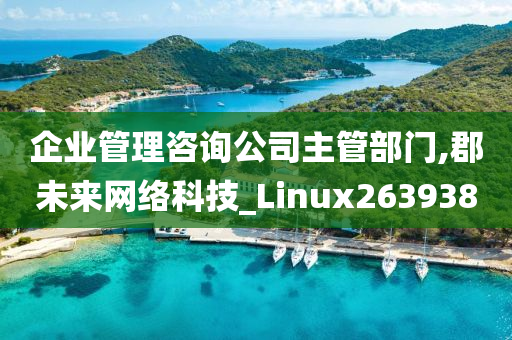 企业管理咨询公司主管部门,郡未来网络科技_Linux263938