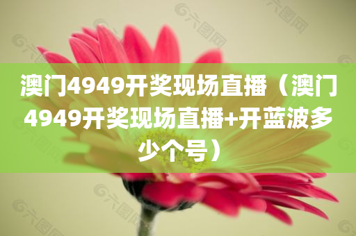 澳门4949开奖现场直播（澳门4949开奖现场直播+开蓝波多少个号）