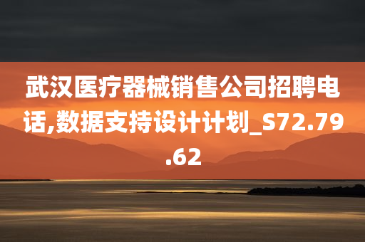 武汉医疗器械销售公司招聘电话,数据支持设计计划_S72.79.62